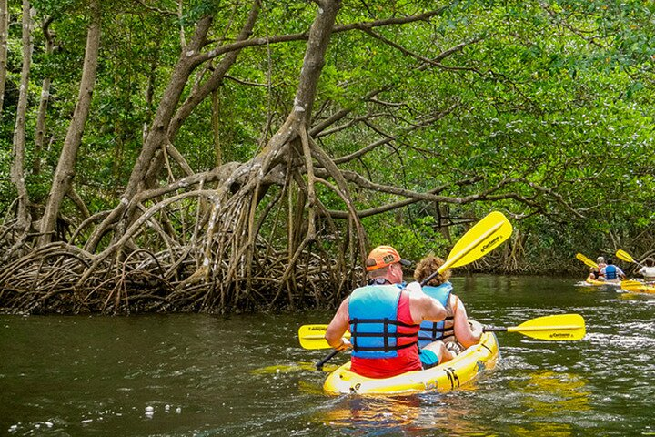 Kayaking in Los Haitises National Park